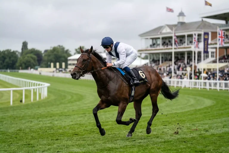 Each Way Wette bei Pferdewetten erklärt